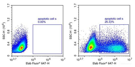 apoptosis kit flow cytometry